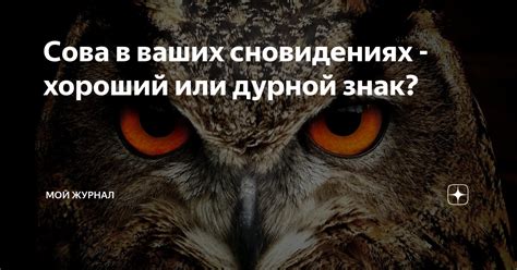 Ёжик Миллер в сновидениях: предупреждение или обещание удачи?