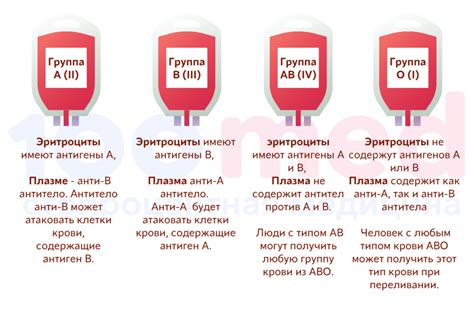 АО группа крови: особенности и значение