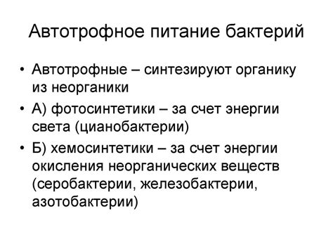 Автотрофное питание: механизмы самозабезпечения питательными веществами