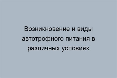 Автотрофное питание: основные понятия и принципы