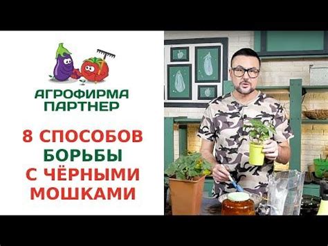 Агрохимические методы борьбы с чёрными мошками