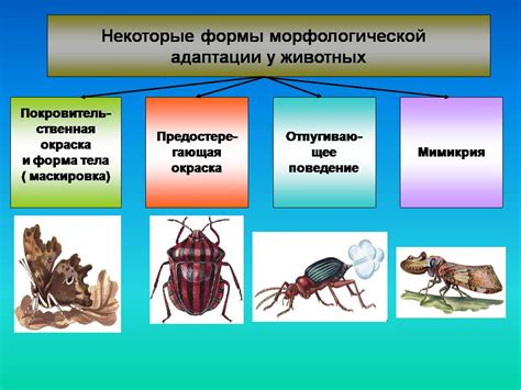 Адаптации членостных ног к различным средам обитания