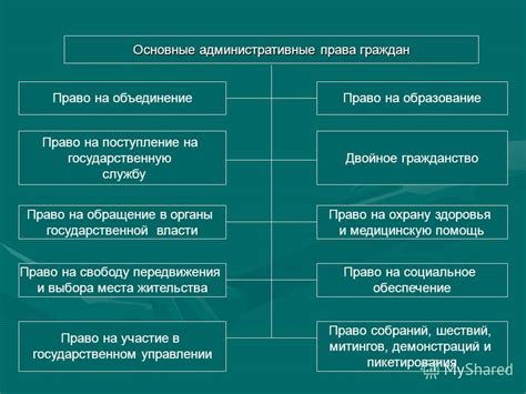 Административная должность: обязанности и характеристики