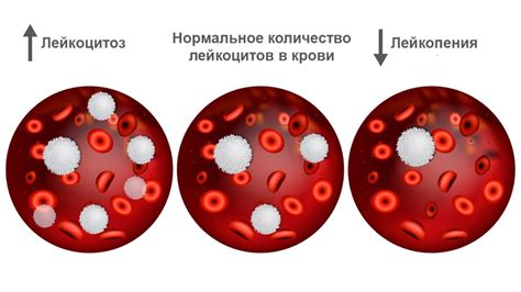 Аккаунт в заскамивании: определение и причины