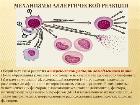 Аллергические реакции как причина изменения окраски горла