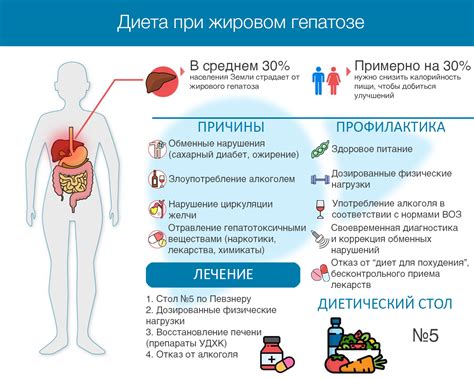 Альтернативные методы лечения неоднородной структуры печени