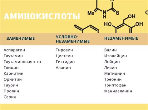 Аминокислоты и их роль в синтезе белков