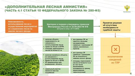 Амнистия: основные понятия и история