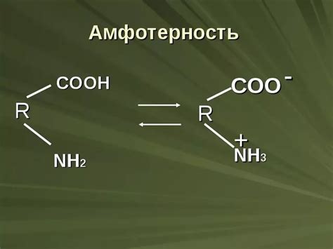 Амфотерная оксигидроксидная реакция