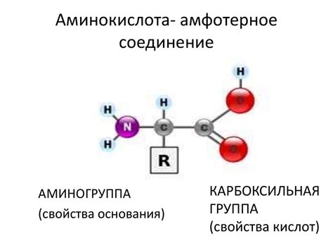 Амфотерное соединение: понятие и примеры