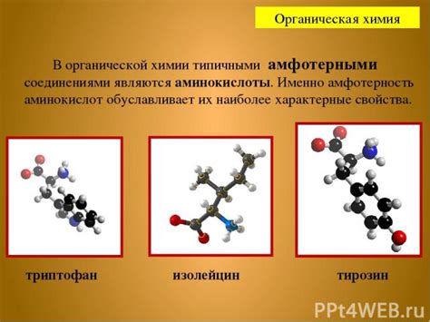 Амфотерность в органической химии