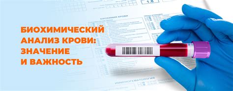 Анализ качества РНК HCV: значение и важность