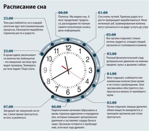 Анализ обстоятельств сна: время суток и окружение