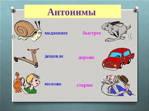 Аналоги и антонимы