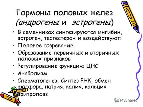 Андрогены и половое созревание