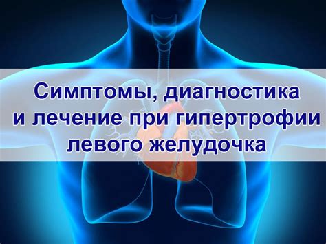 Аномалии левого желудочка сердца: обзор и лечение