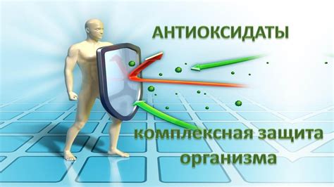 Антиоксиданты: защита организма от вредных воздействий