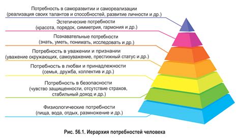 Ароматическая ориентация и поведение человека