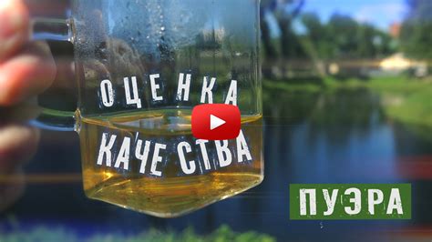 Аромат и вкус: откройте для себя уникальные ноты