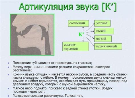 Артикуляционные особенности произношения