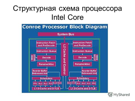 Архитектура процессора: основные принципы и различия