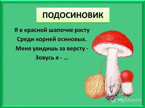 Ассоциации с детством: сон о грибах и ностальгия