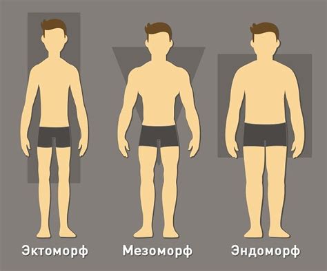 Астеническое телосложение: изучаем определение, особенности и характеристики