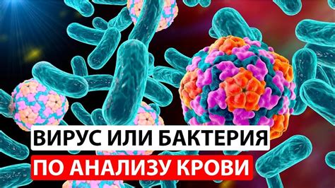 Бактериальная инфекция: связь с показом дрожжей