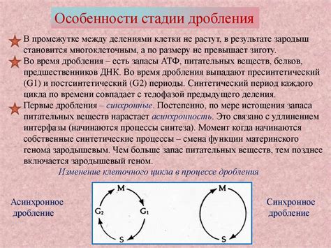 Барахолка, клинк, дробление - символическое значение барабанного стука в сновидении