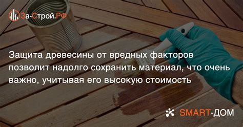 Безопасность лошади: защита от вредных воздействий