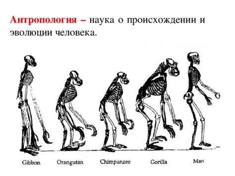 Безысходность от "сушняка" и его происхождение