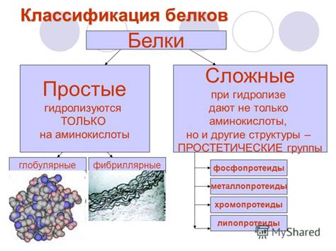 Белки и аминокислоты в твороге