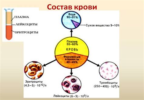 Белки крови: строители и регуляторы