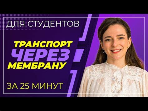 Белки-транспортеры и их функции