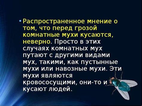 Беспорядок, неопределенность и разочарование в снах о мухах