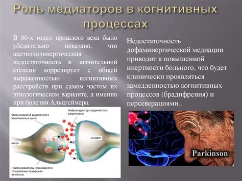 Бета-активность и ее роль в когнитивных процессах