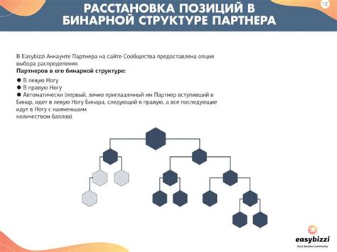 Бинарный заговор: что это и каковы его основные аспекты