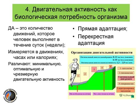 Биологическая потребность