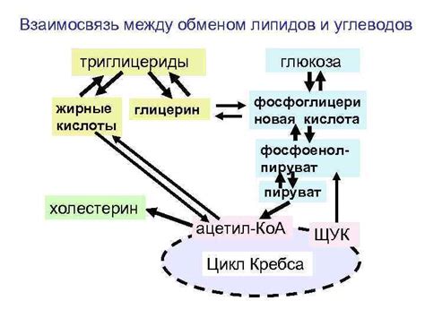 Биологическая ценность