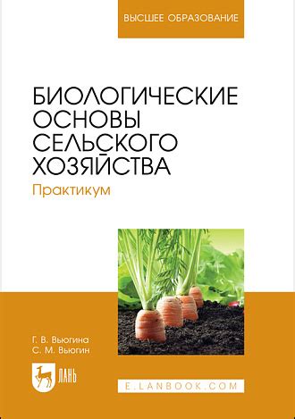 Биологические основы снов, связанных с привлекательностью клубничных плодов для женщин