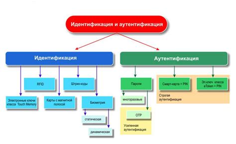 Биологические принципы идентификации