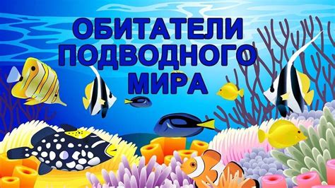 Биологический подход к расшифровке снов о морских обитателях