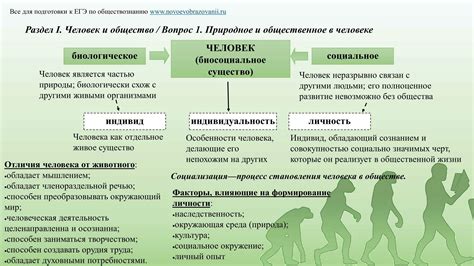 Биологическое и психологическое объяснение снов с возникновением огня