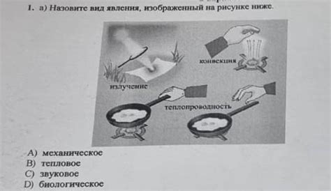 Биологическое объяснение явления