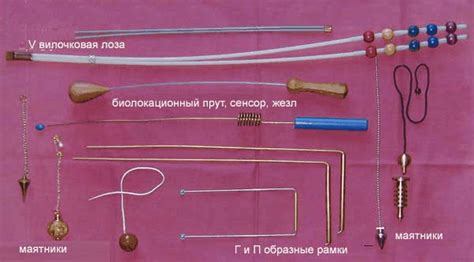 Биолокация и основные принципы