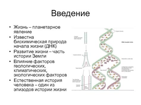 Биохимическая природа гонадотропина