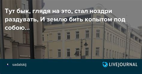 Бить копытом: что означает это выражение