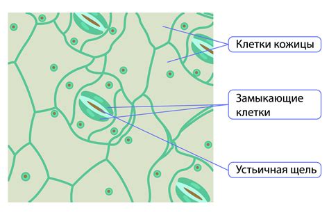 Благосклонное вещество