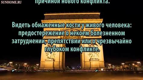 Близкое путешествие: толкование сна о ракушках