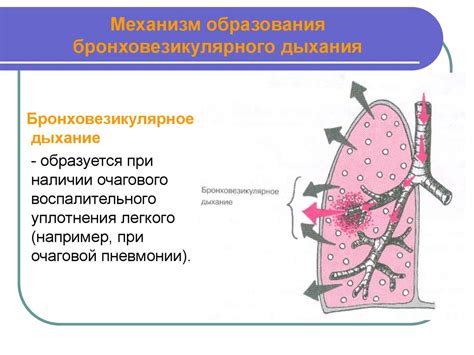 Боль и дыхательные проблемы: основные симптомы